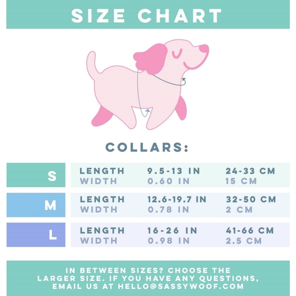 Sassy Woof Corgilicious Medium Dog Collar - Picture 4 of 8